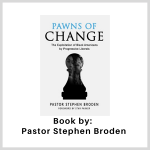 Book: Pawns of Change