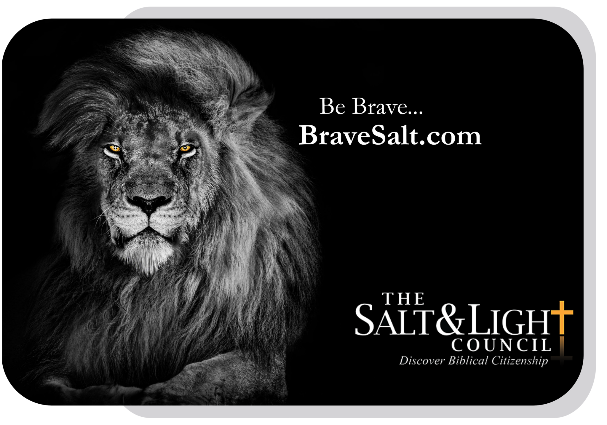 The Salt and Light Council