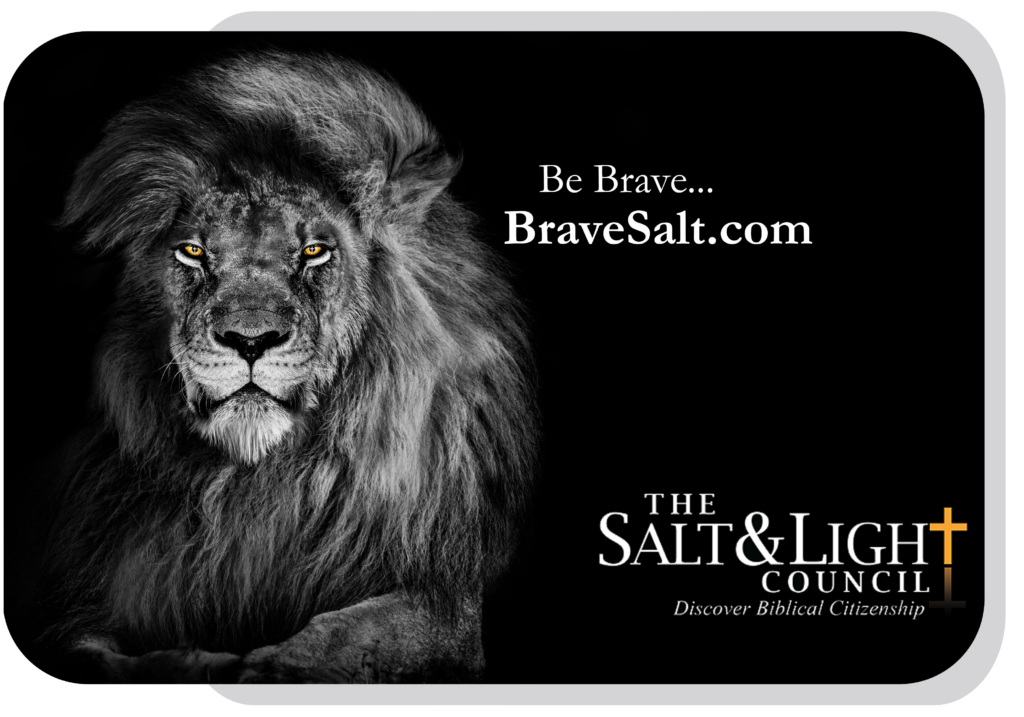 BraveSalt.com